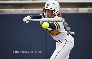 Honeybees Softball