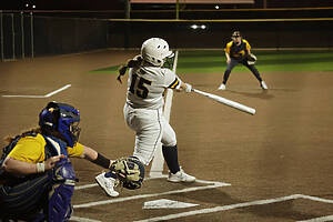 Honeybee Softball Batter