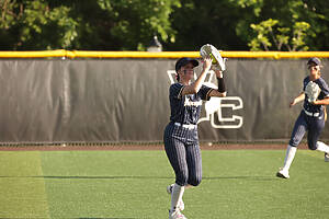 Honeybee Softball