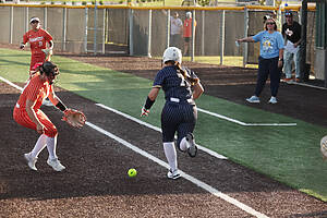 Honeybee Softball