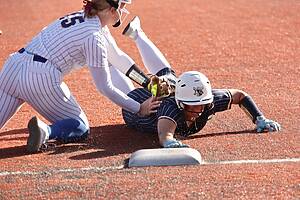Honeybee Area Round Game 3