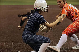 Honeybee Softball