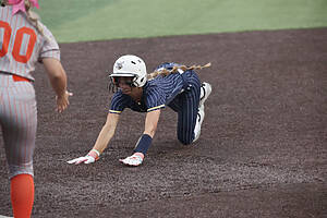 Honeybees Area Round Game 3