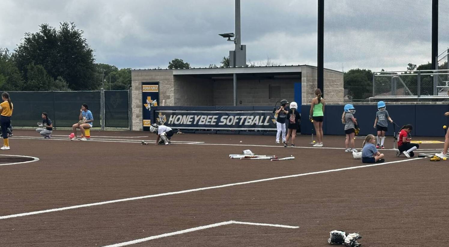 Honeybee Softball Camp