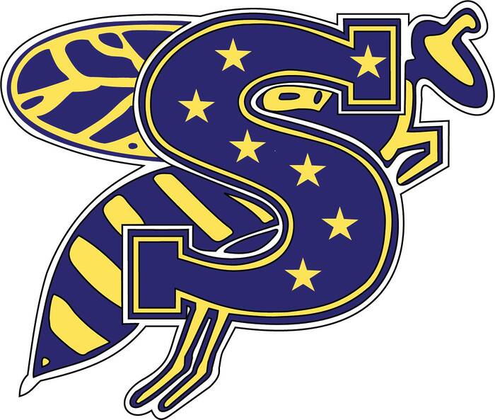 Yellowjackets 7 Stars.png (002)