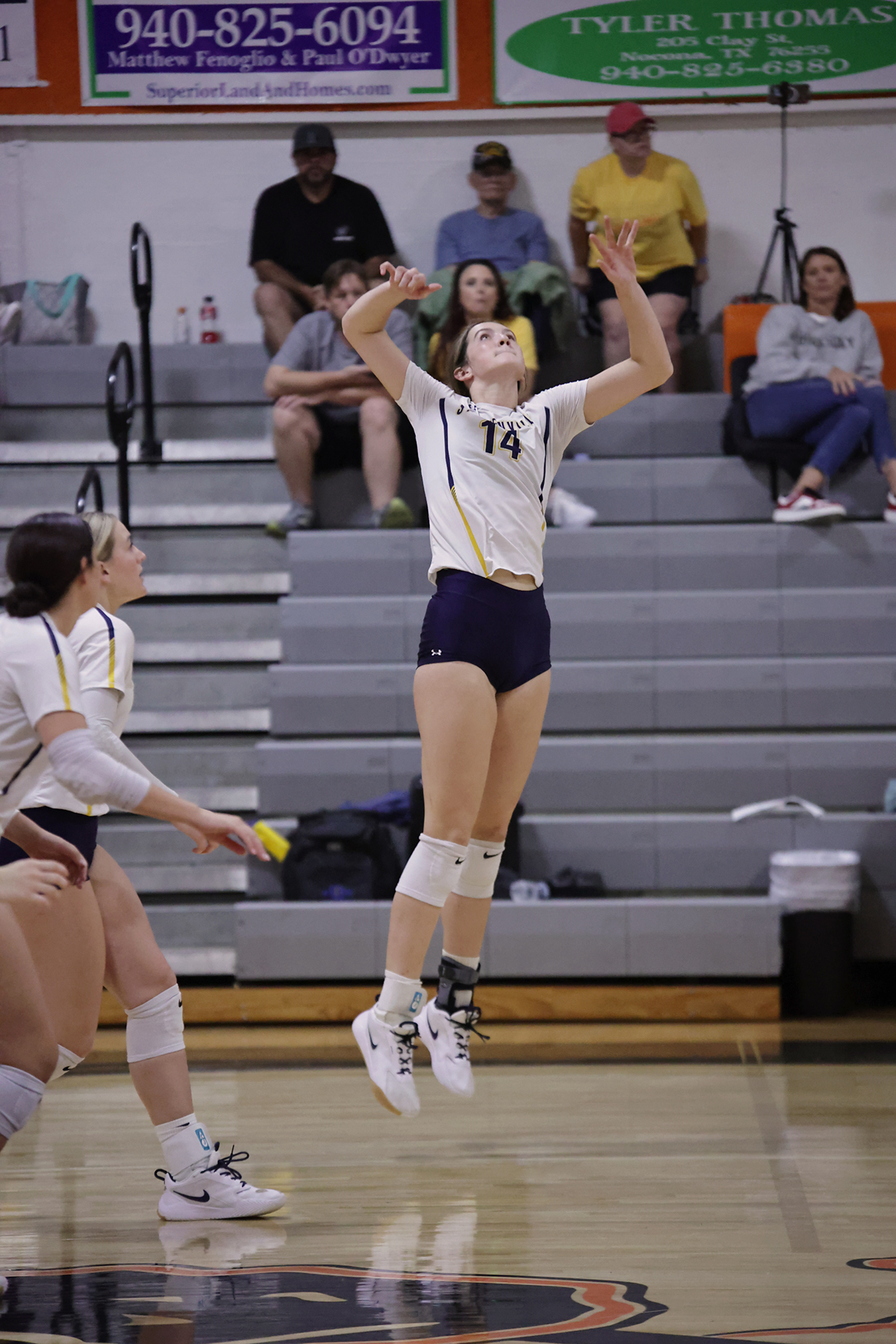 Vb Nocona 5