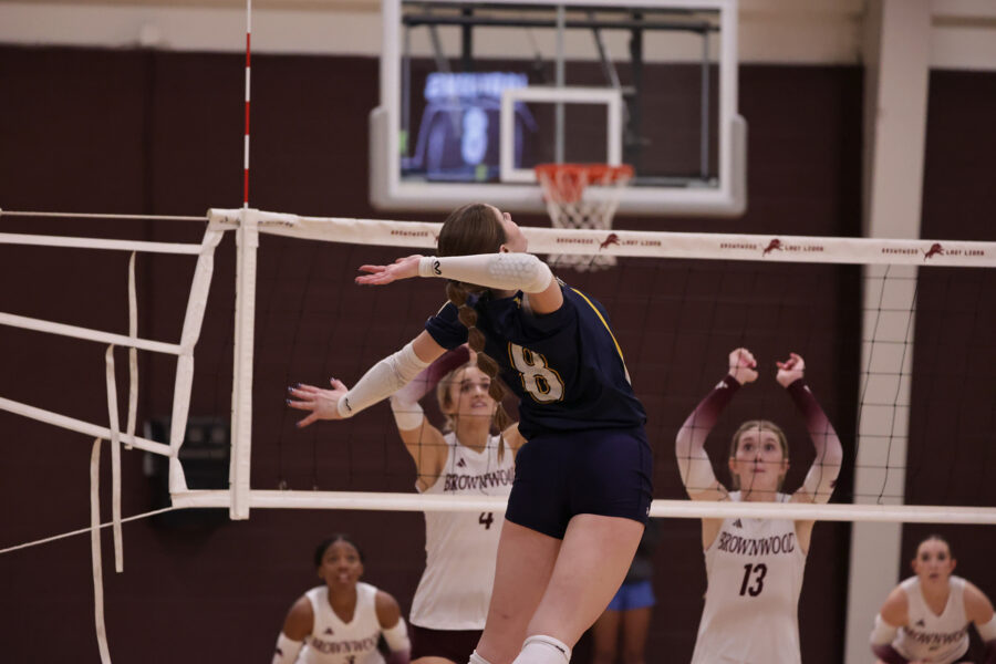 Vb Bwood 3
