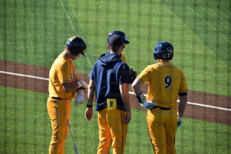 Jacket 2026 Robinson