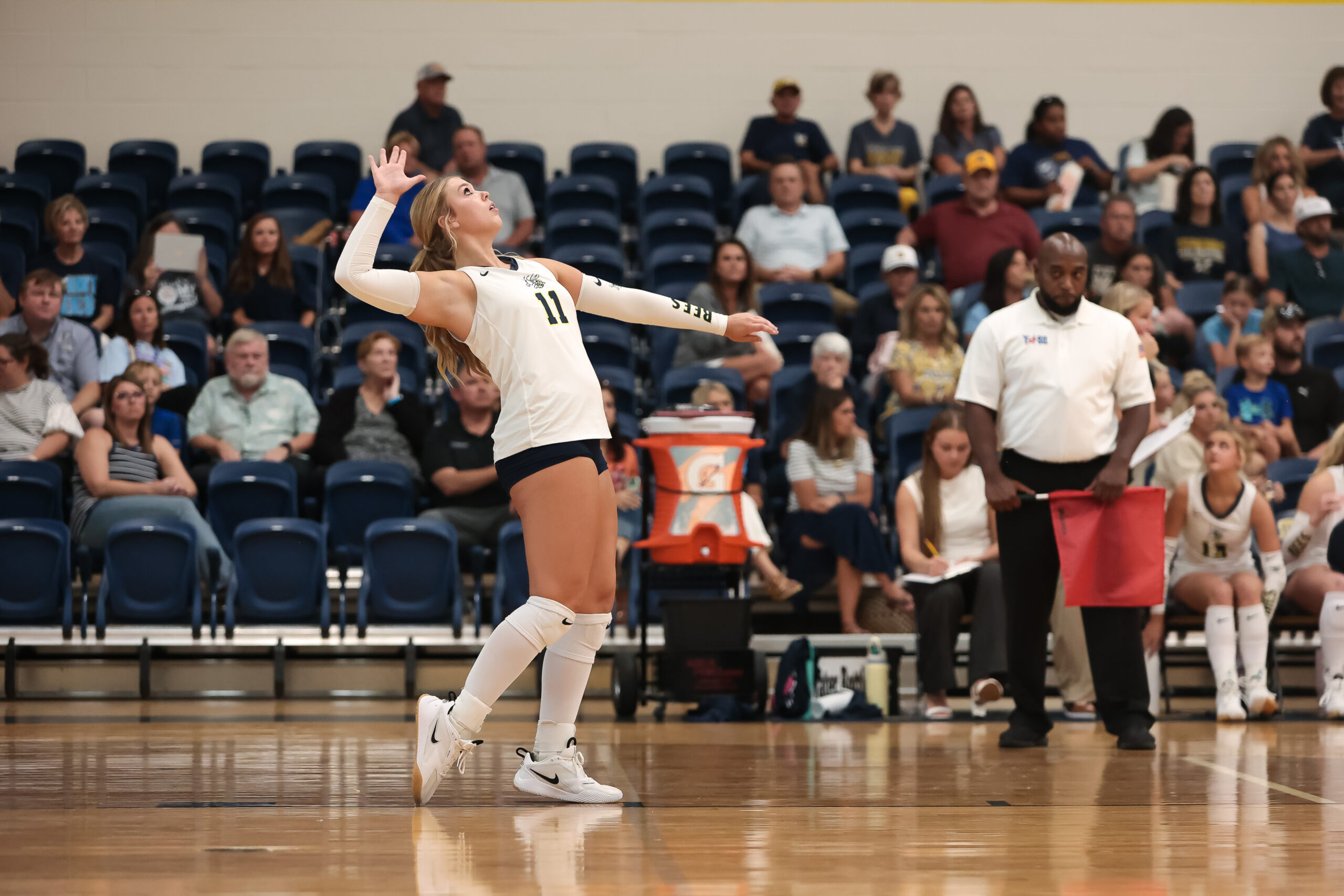 Bees Vb 1